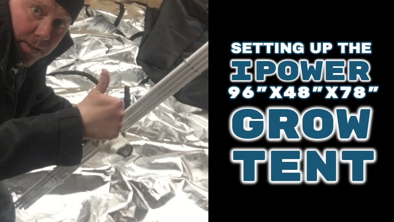 Setting up and Reviewing the iPower 4x8 Grow Tent