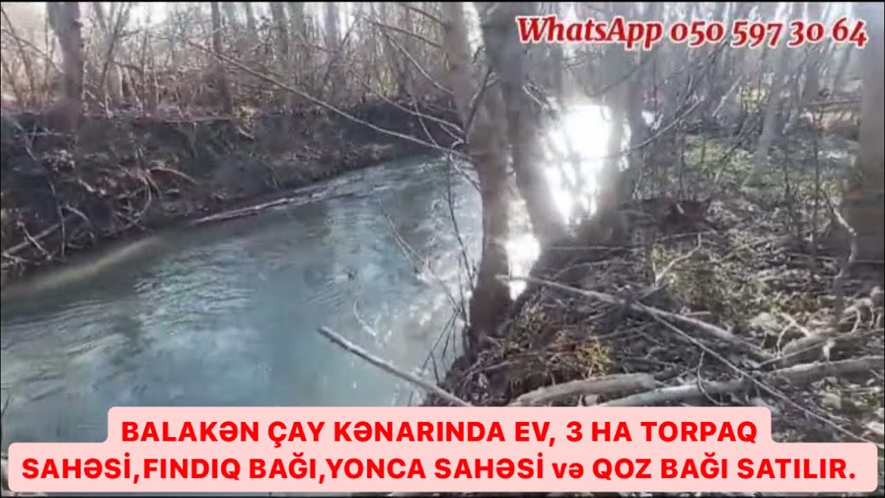 982 Balakən çay kənarında ev, 3HA torpaq, yonca sahəsi, fındıq bağı və qoz bağı satılır.80 000 azn.