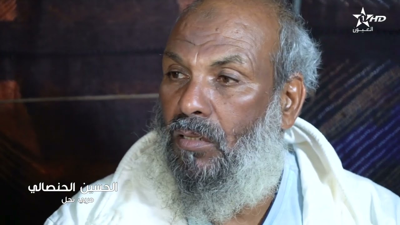 سفر واستكشاف عبر الصحراء تربية النحل