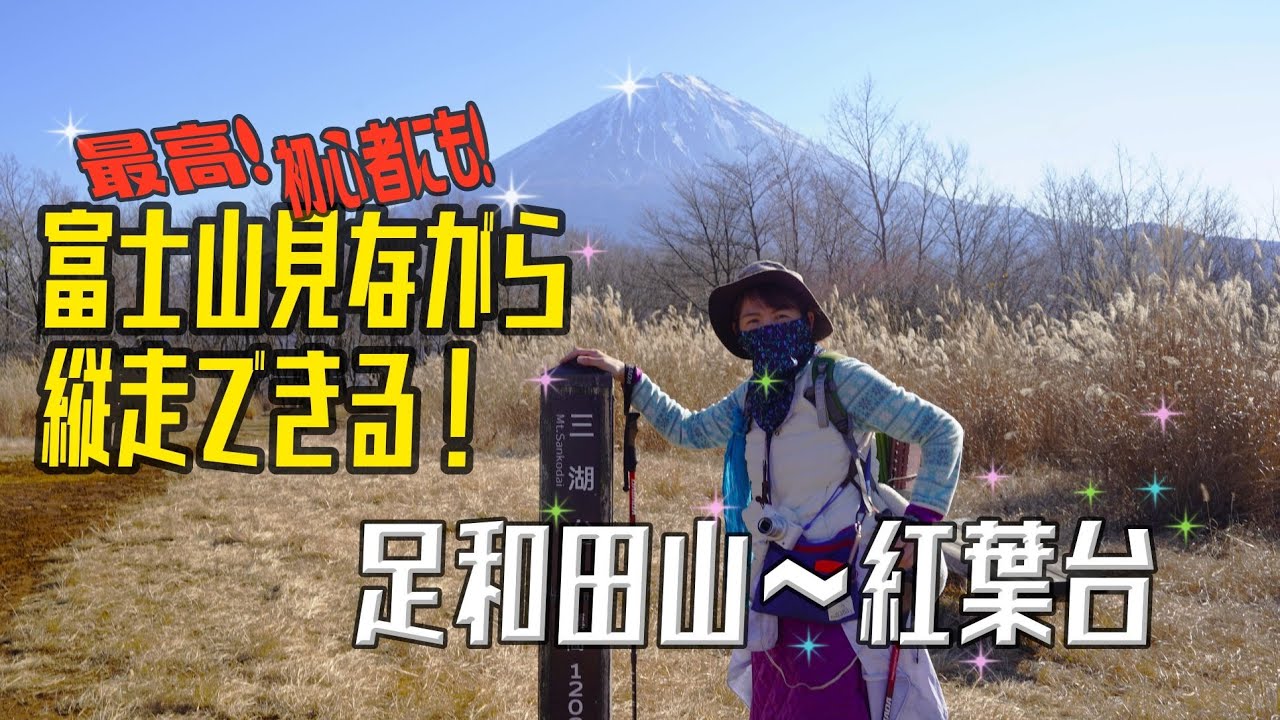 【登山】でかいぞ富士山！テラスで感動✨プチ縦走できる富士五湖の山。足和田山～紅葉台まで歩いてみたら絶景で驚いた😆2022.12.10