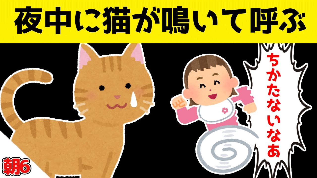 いつもリビングで寝ている猫が、夜中に娘とママを鳴いて呼んだ結果が可愛すぎるｗｗｗ