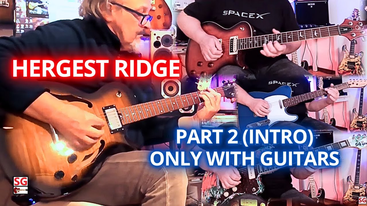MY GUITARS FOR MIKE OLDFIELD HERGEST RIDGE PART 2 (EXTRACT)