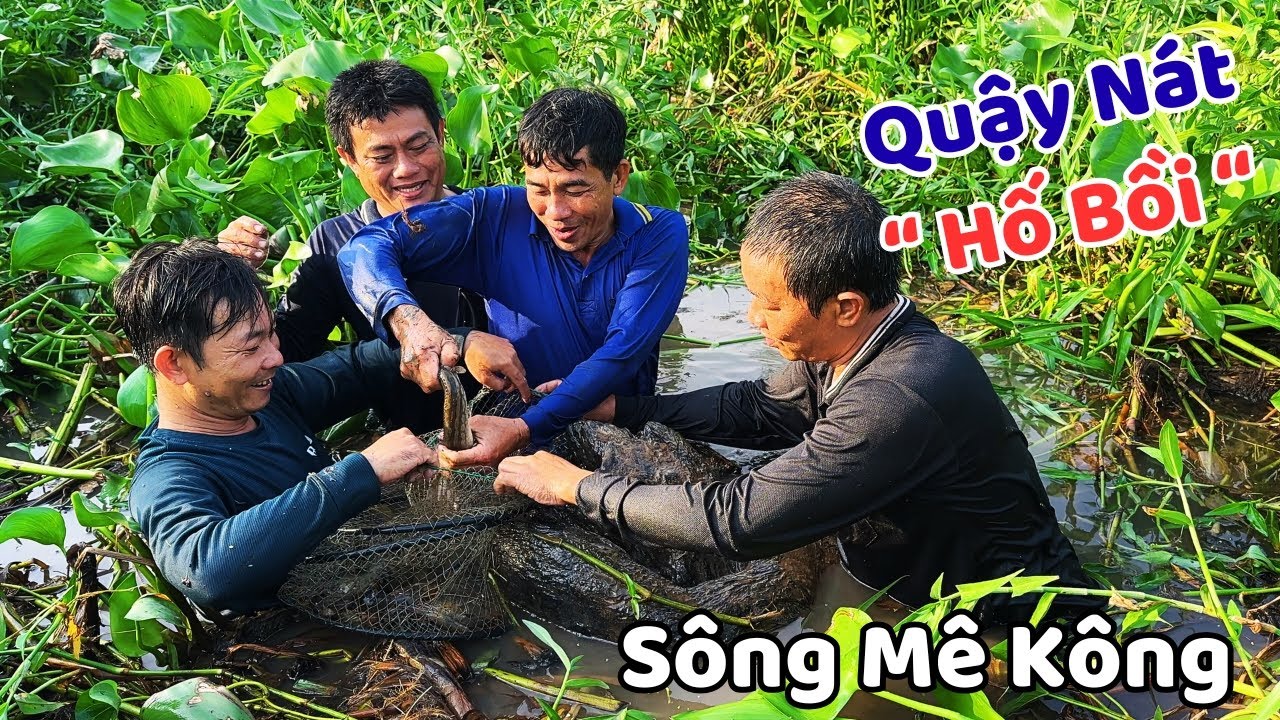 Trở Lại Quậy Nát 