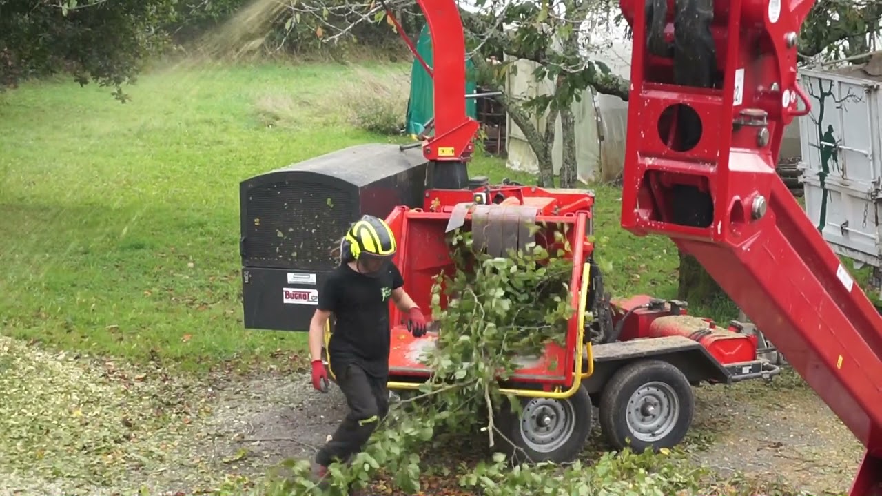 Démontage de hêtre avec nacelle araignée Hinowa et boyeur Bugnot CBB300 par Wezenn Elagage