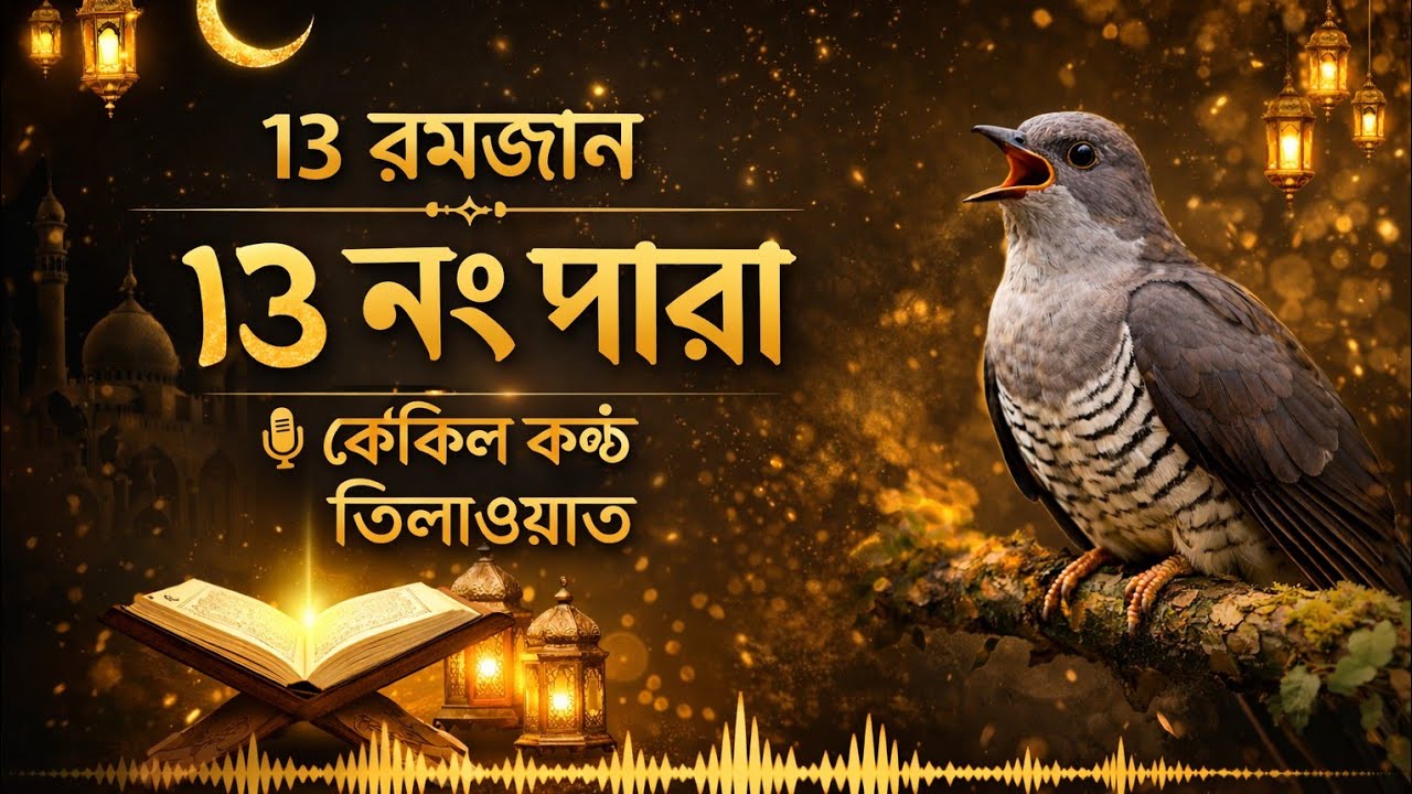 ১৩ রমজানের তিলাওয়াত ১৩ নং পারা শুনুন কুকিল কন্ঠে 