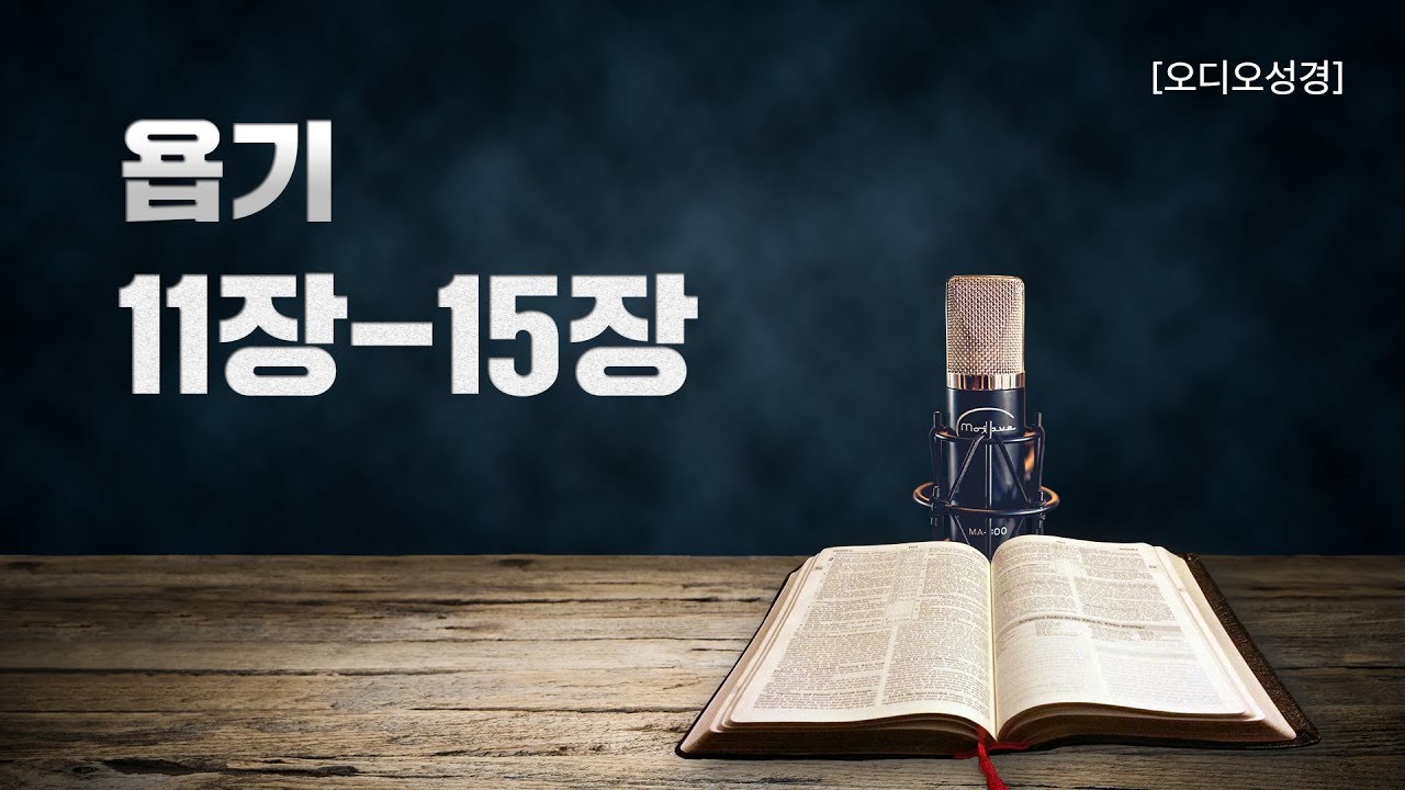 [오디오성경]욥기 11장 12장 13장 14장 15장 | 조정민 목사
