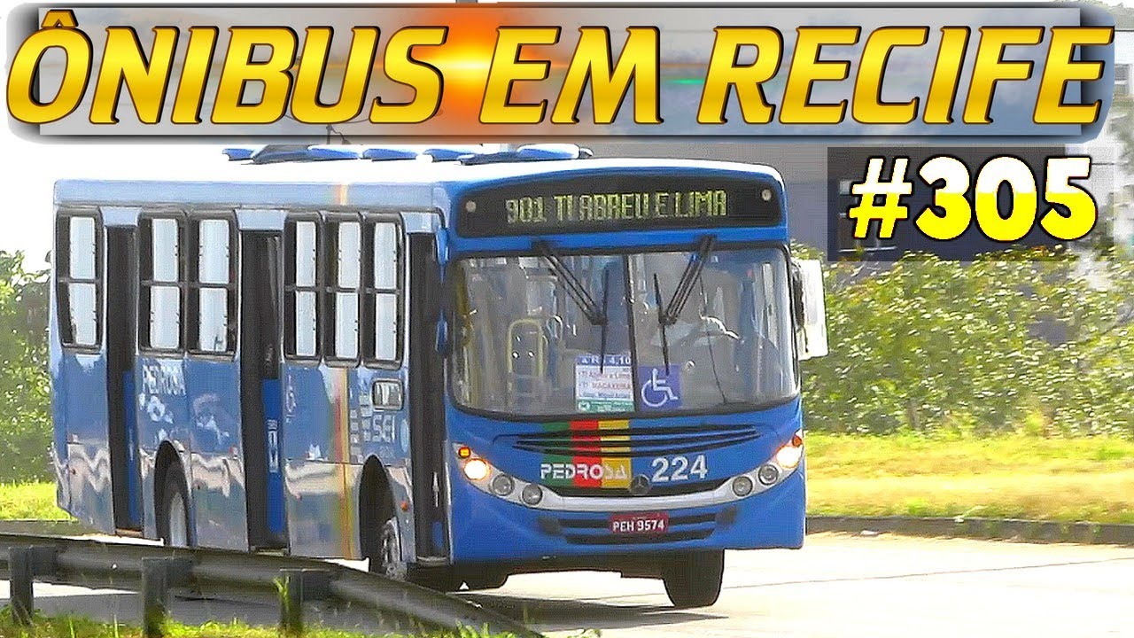 #305 Terminal Integrado de Abreu e Lima - Movimentação de ônibus na região metropolitana  do Recife