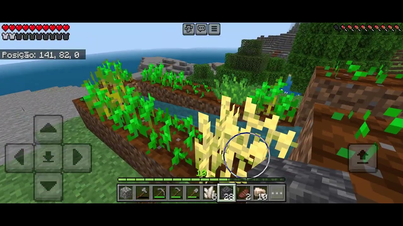 Fiz minha mais nova farme de cana de açúcar 13°episódio minecraft Bedrock
