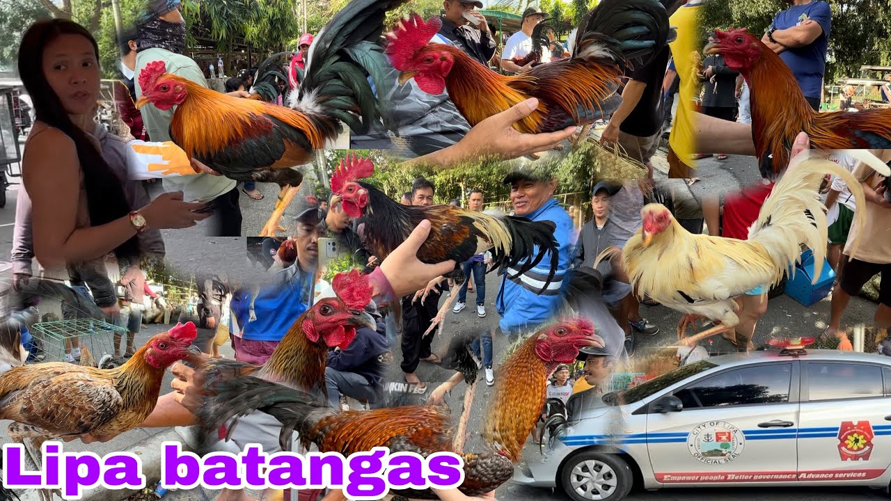 Enero 10 2026 Nangangamba mapalipat ang Bentahan sa lipa batangas.. Saan Kaya?.