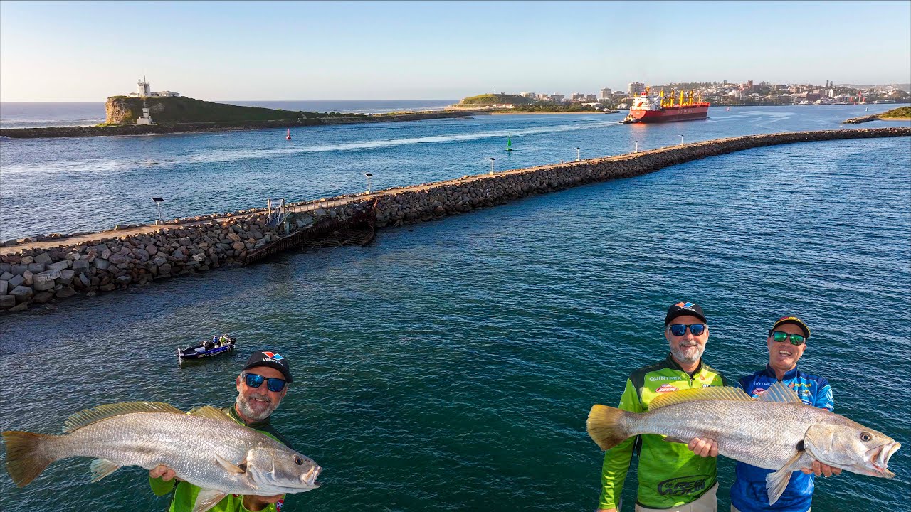 Suburban Mulloway