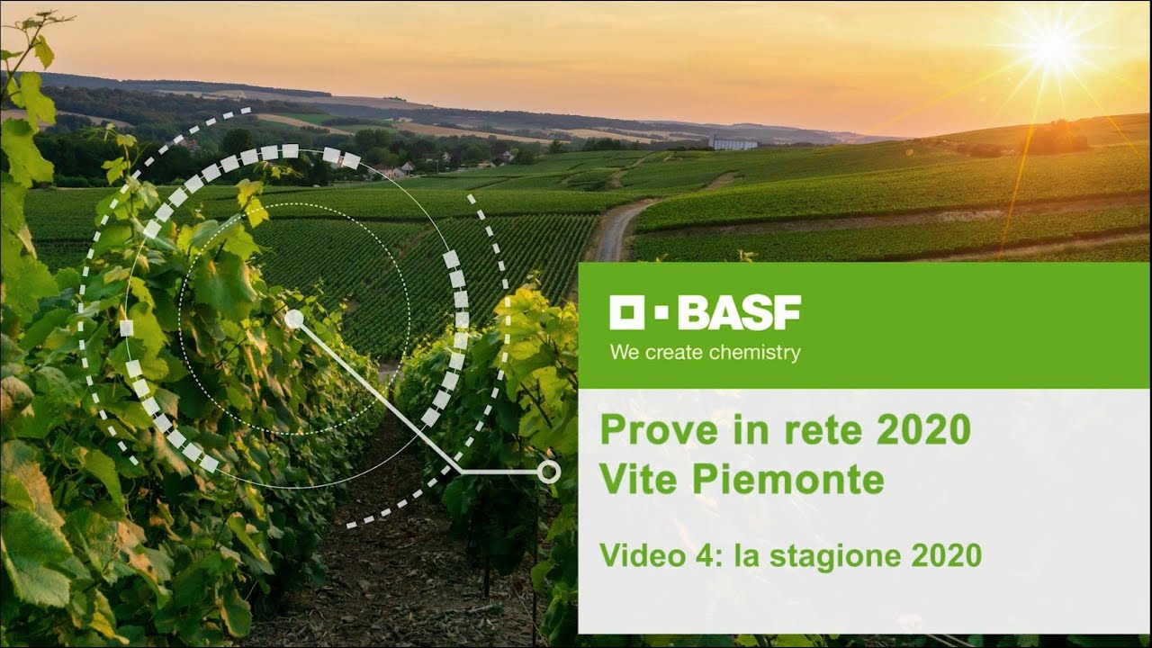 ProveInRete Piemonte: Risultati prove annata 2020