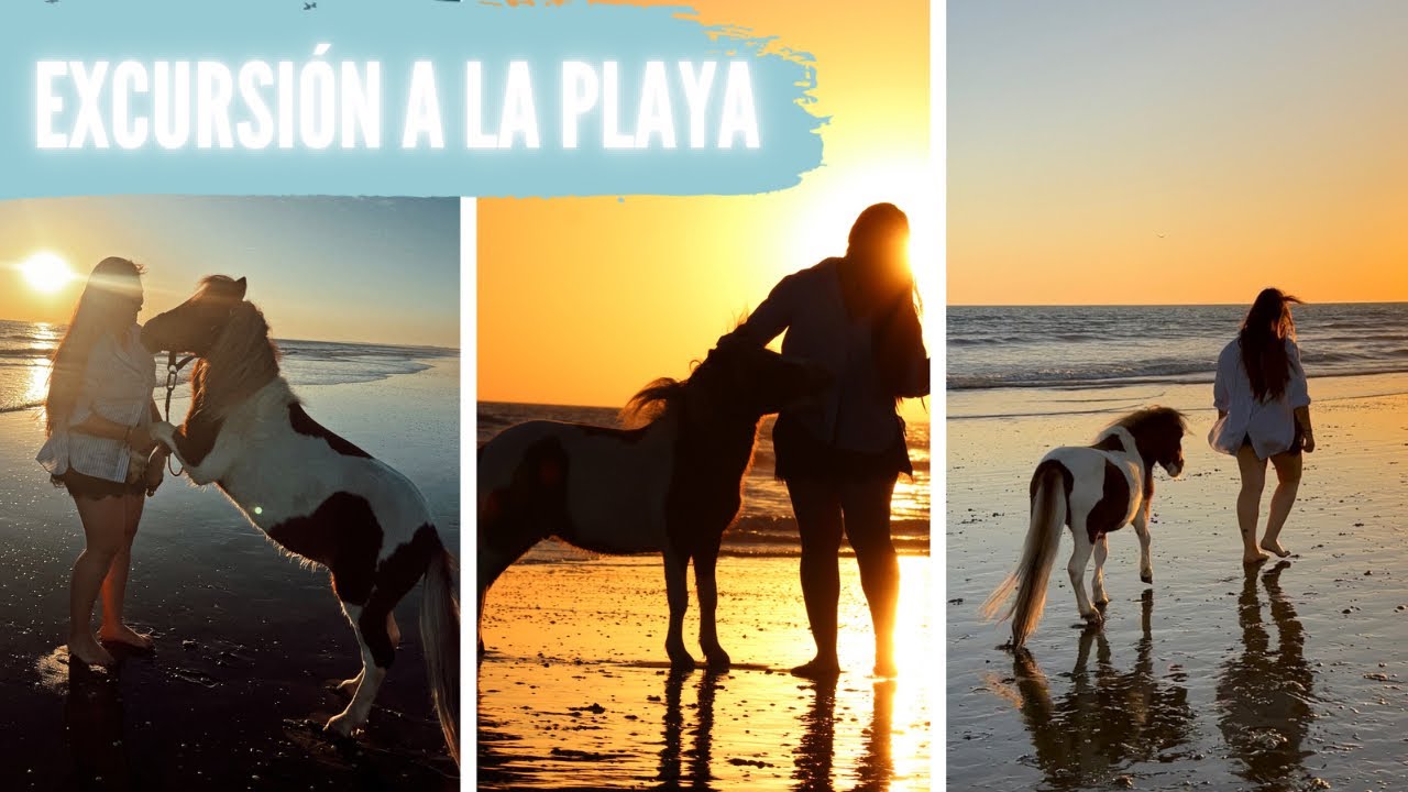 🌊DUQUE en la PLAYA 🏖️ ¡¡Nos vamos de excursión!!