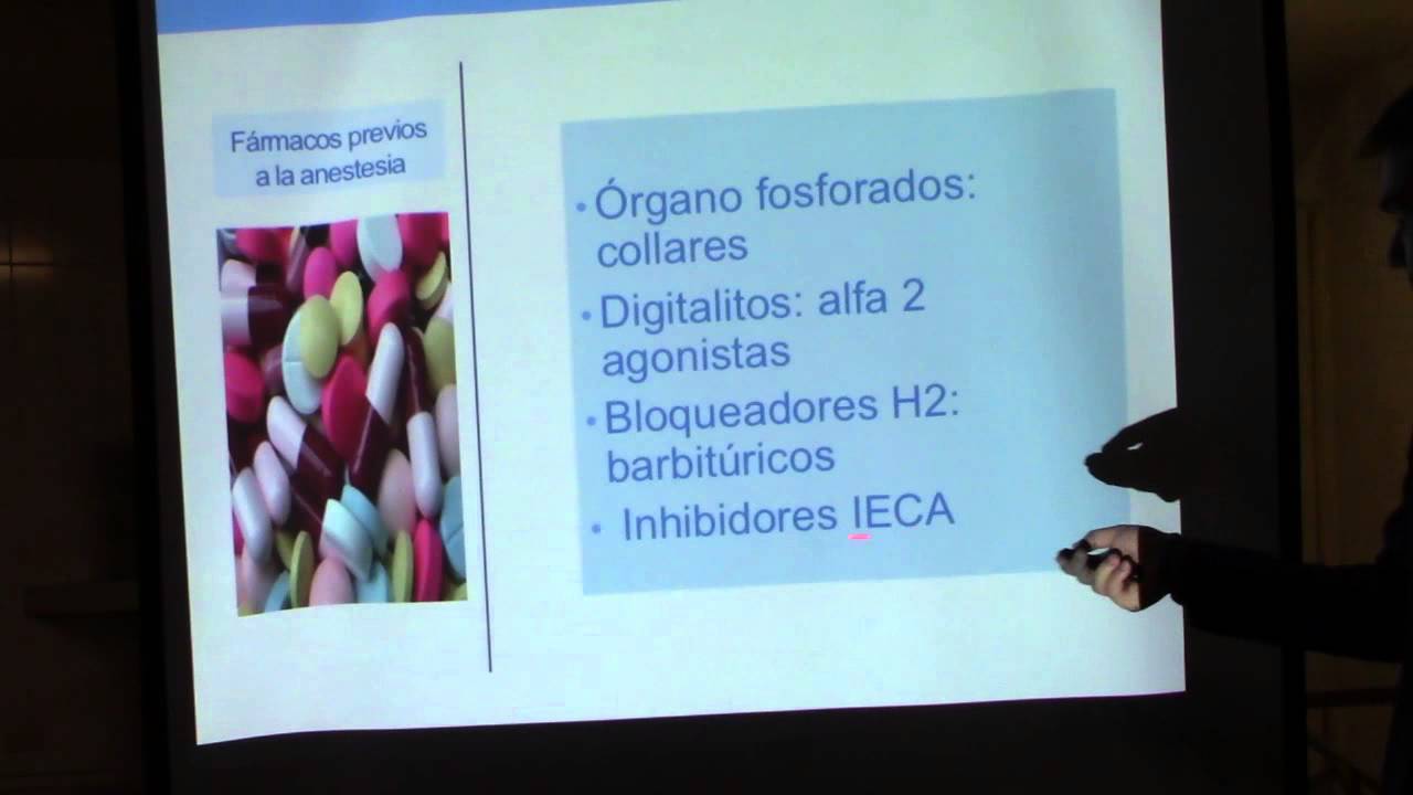 Gira Nacional ABC de Anestesia y Analgesia Veterinaria. Parte 1 de 6
