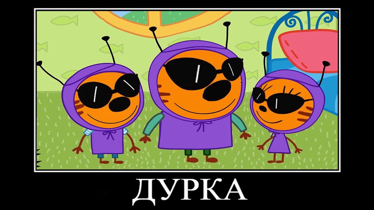 13 МИНУТ РЖАКИ ТРИ КОТА 😂 ПОПРОБУЙ НЕ ЗАСМЕЯТЬСЯ