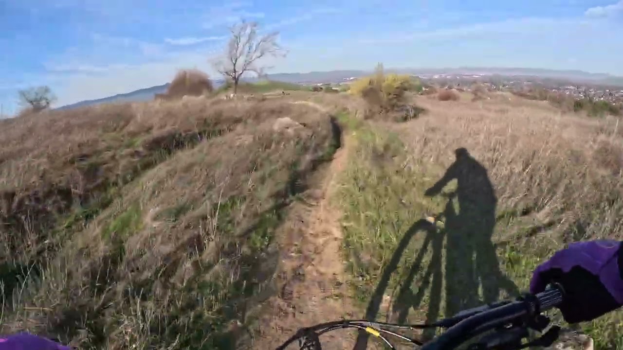 Limeridge Thorn Alley