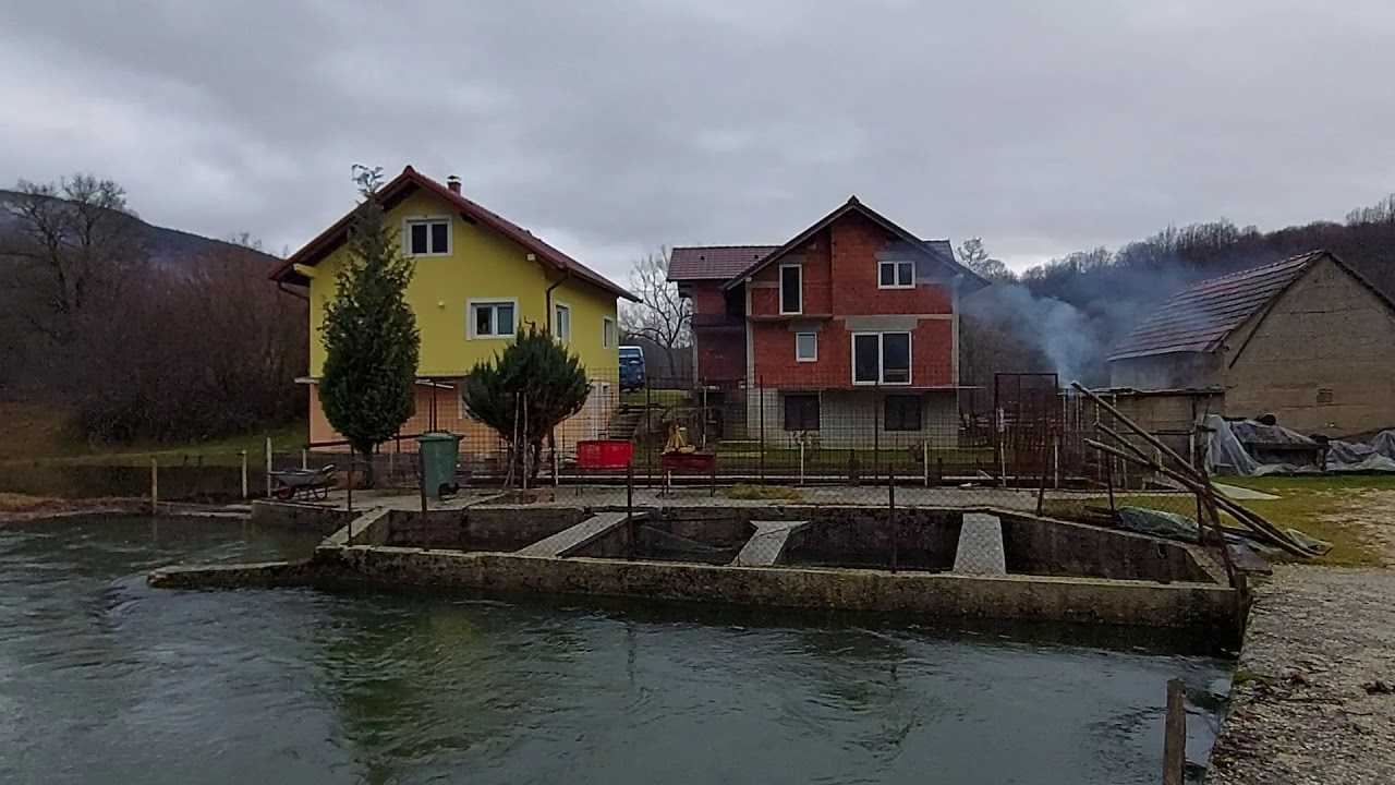 Rijeka Šujica kod ribnjaka
