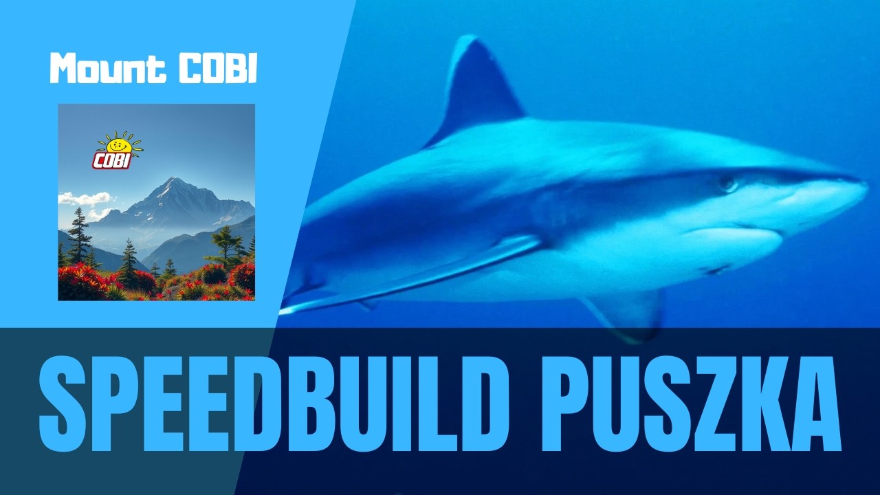 Rekin Puszek | Speedbuild #speedbuild