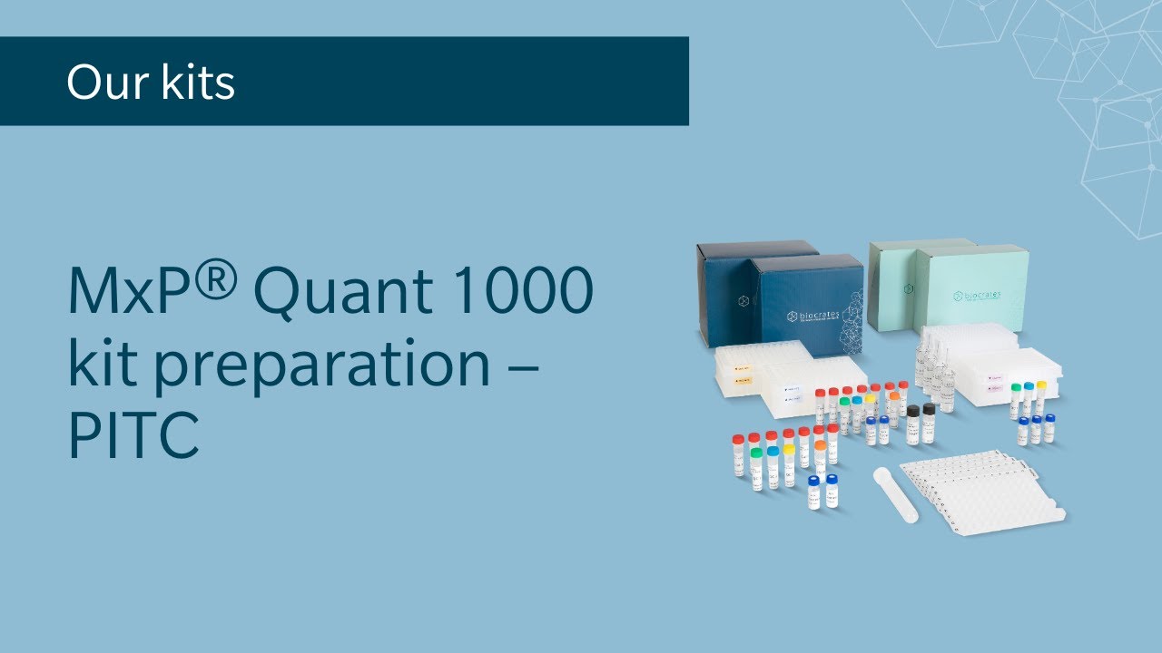 Подготовка набора MxP® Quant 1000 – PITC