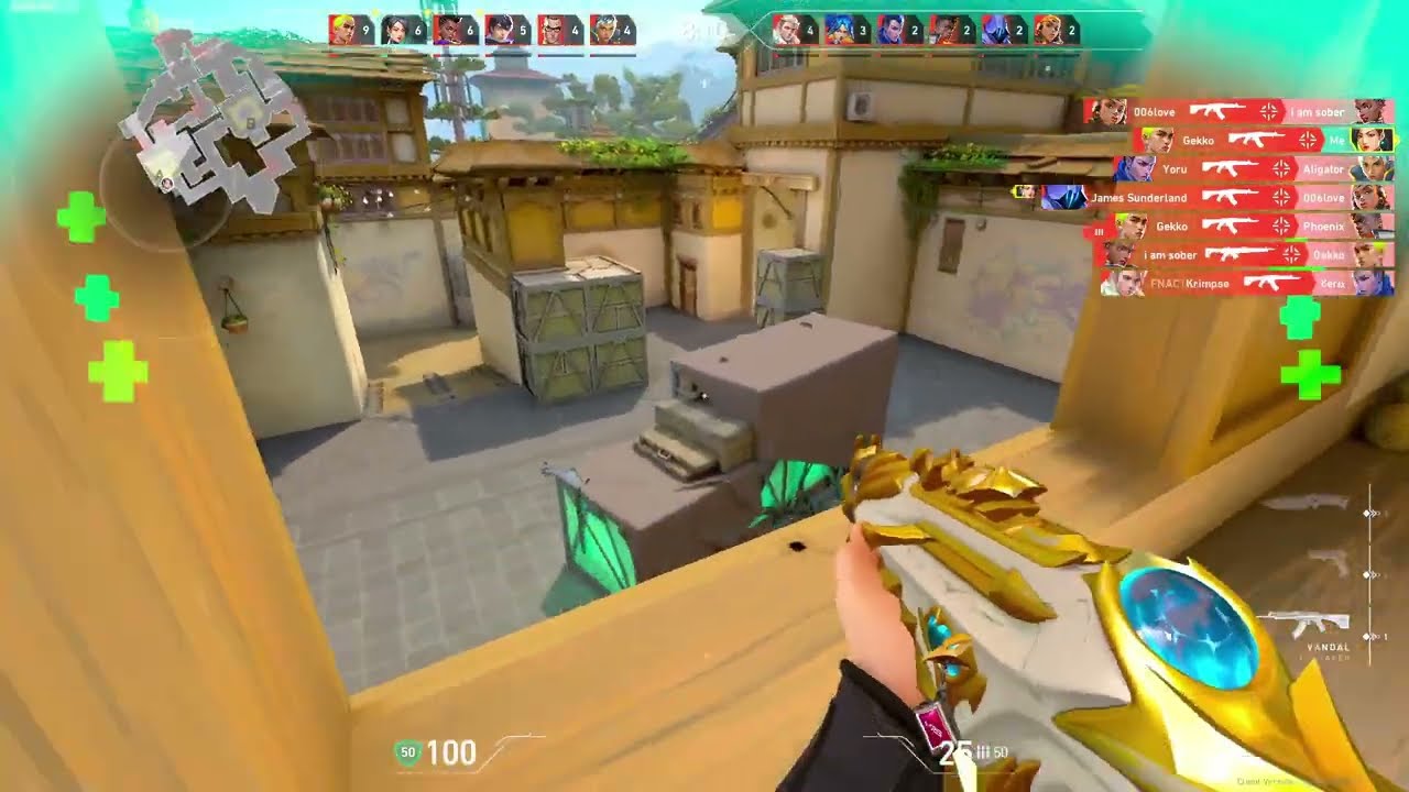 BETRAY4R FILES...
