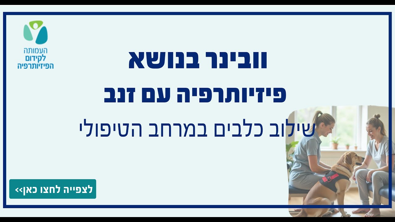 פיזיותרפיה עם זנב – שילוב כלבים במרחב הטיפולי