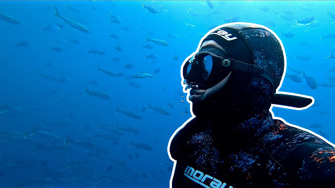 Camping and Diving in the Beautiful Coromandel Peninsula! Crayfish, Kingfish & more