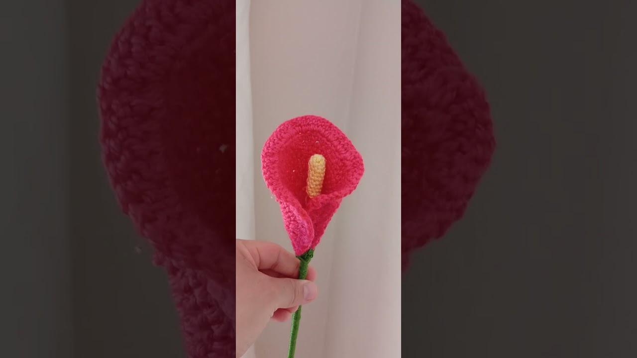 Gala &Ccedil;i&ccedil;eğ ! #elemeği #crochet #amigurumi