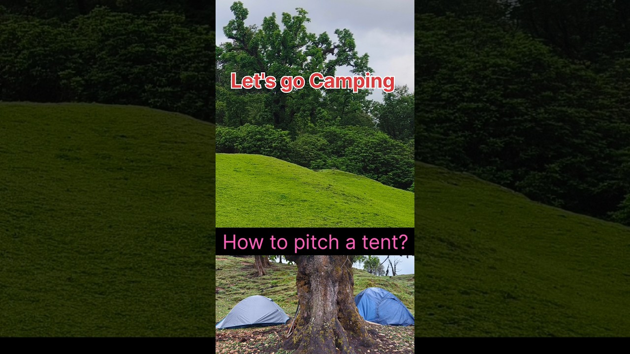 टेन्ट कैसे लगाएं। Thumb Rule of Camping 💥 #how #howto #howtopitchatent #trending