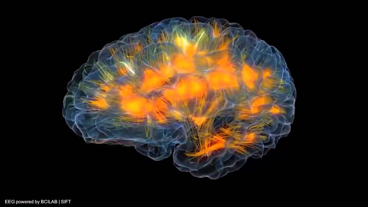 Actividad cerebral a tiempo real