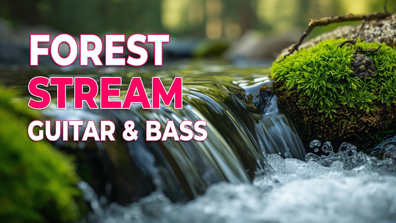 Crisp Nature Chill Music 🌊 Guitar & Bass by the Roaring Forest Cascade
