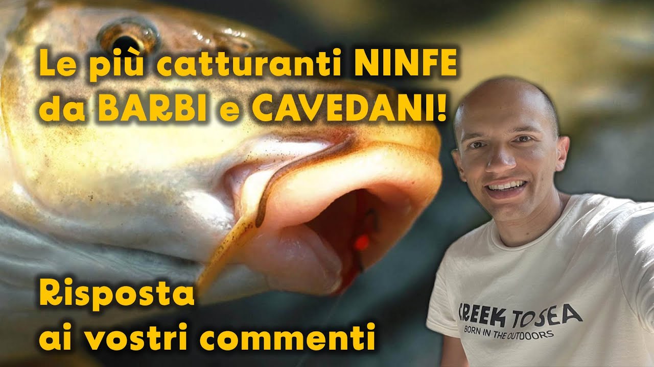 Le più catturanti NINFE da BARBI e CAVEDANI! Risposta ai vostri commenti
