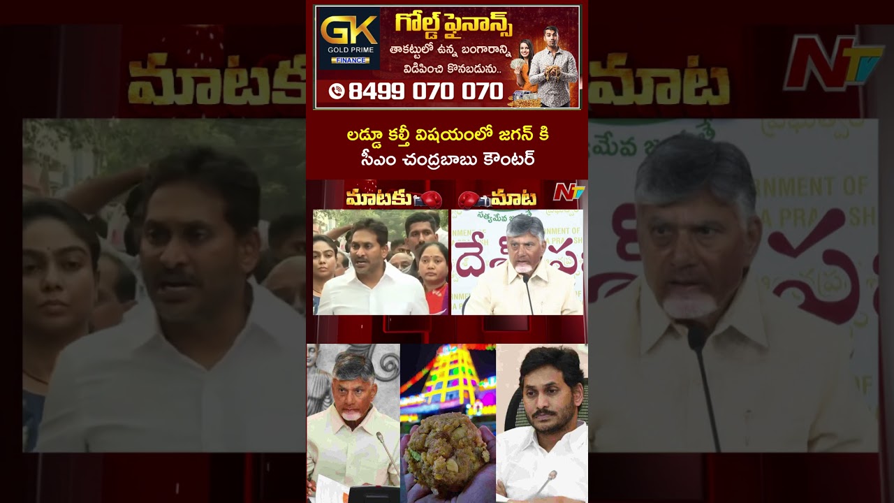 CM Chandrababu Counter to YS Jagan On Tirumala Laddu Controversy  | NTV Telugu
