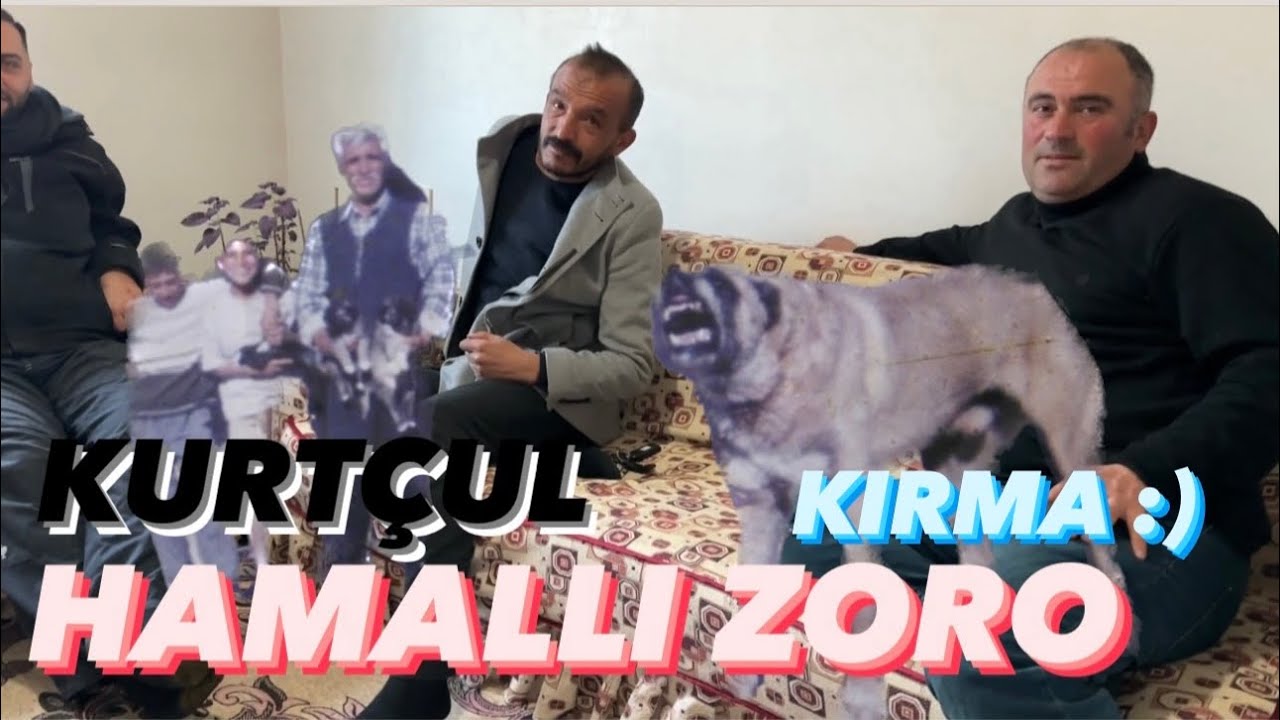 KÖY SOHBETLERİ YAŞANMIŞ GERÇEKLER @bariscicek9181 #short #shortvideo #sivas #kurt #kangal