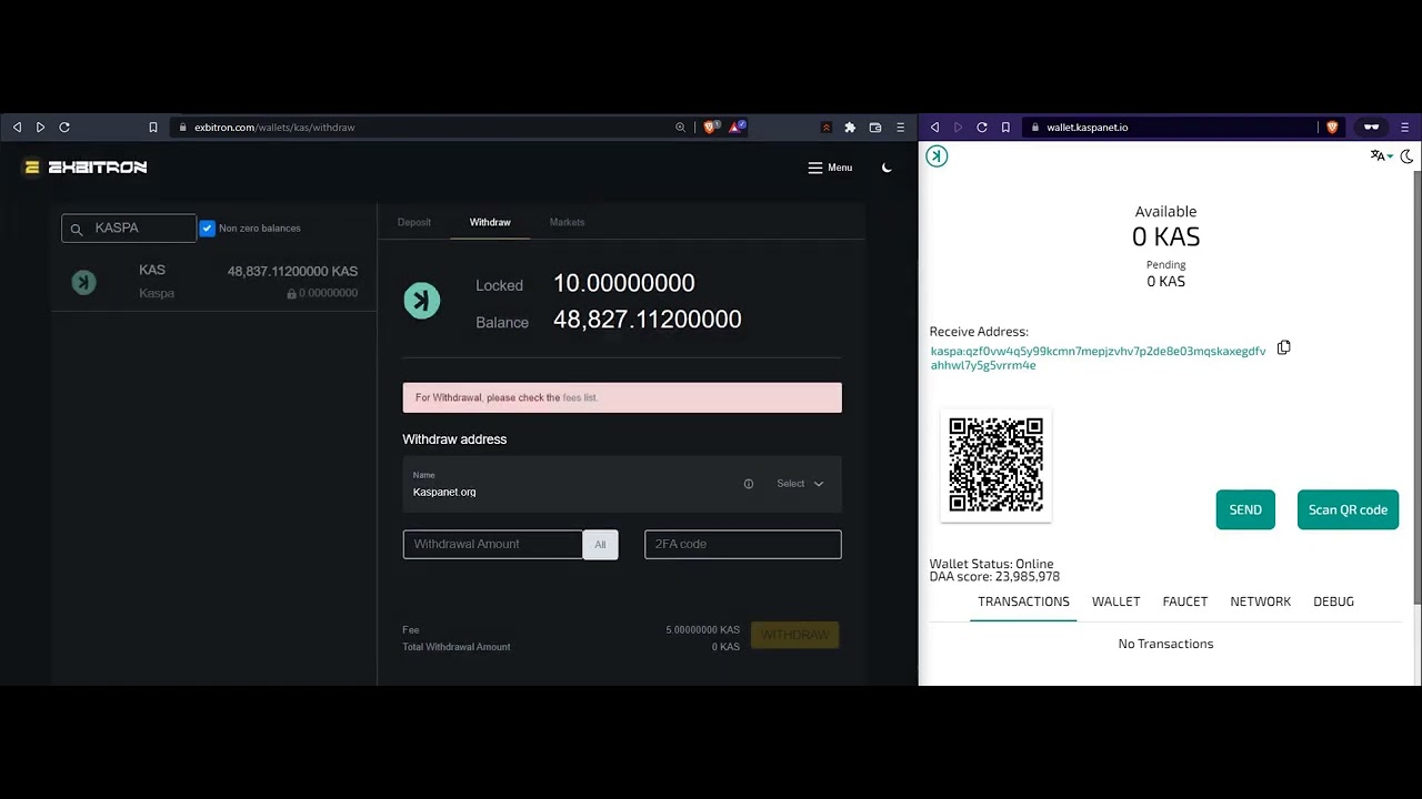 KASPA = SUPER FAST | Real time transactions! Kaspanet