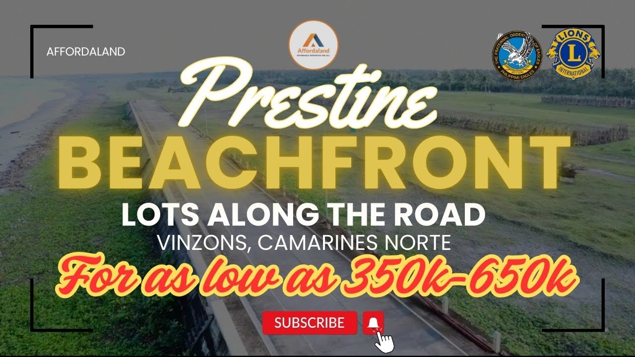 V137 PRESTINE BEACH LOT |350K-650K only| VINZONS, CAMARINES NORTE| #beach#realestate #farmforsale