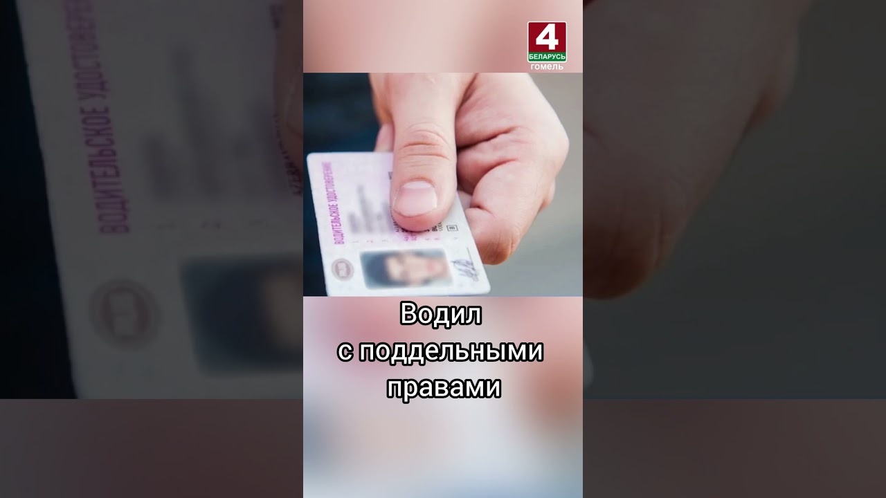 Водил с поддельными правами #беларусь #новости #гомель