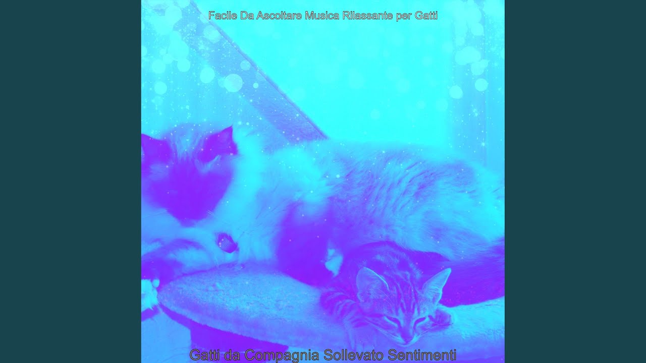 Gatti da Compagnia Sollevato - Musica