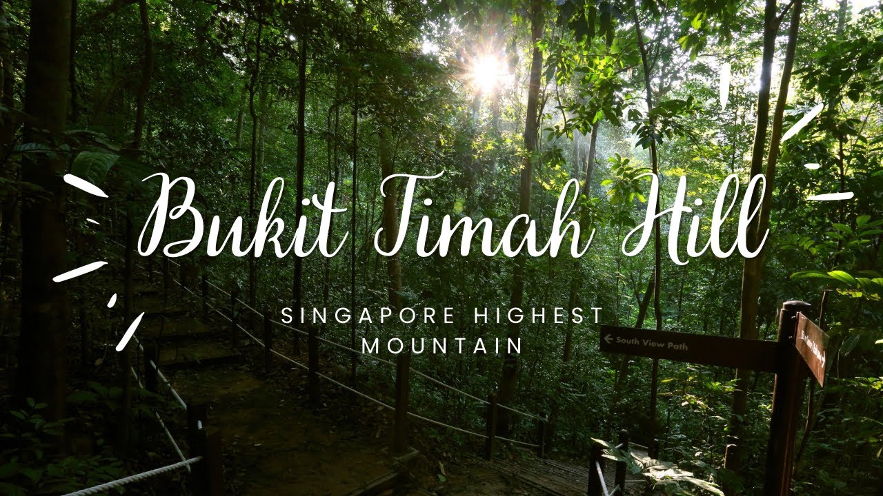 🌄Hiking Adventure: Conquering Singapore's Tallest Peak, Bukit Timah Hill! 🌄