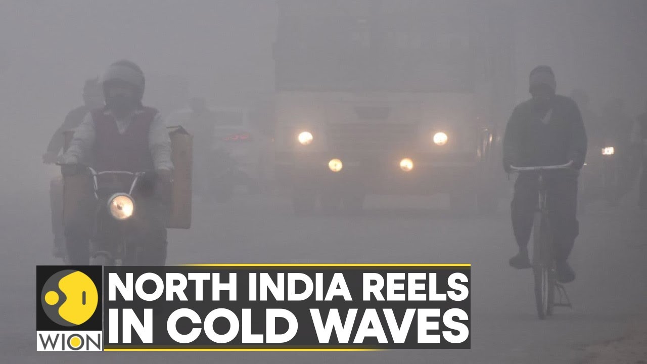 Dense fog, cold waves take over North India, IMD issues warnings | Latest English News | WION