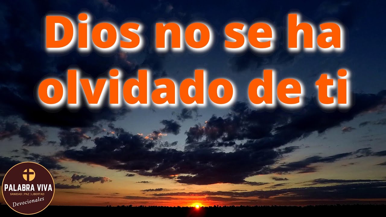 Dios no se ha olvidado de ti | Dios no te ha abandonado | devocionales