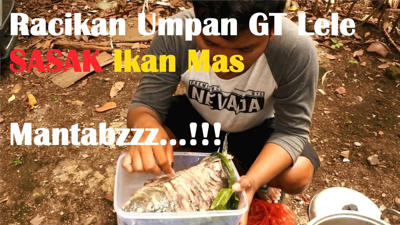 Sasak Carp Bait Galatama Catfish Подходит для полного поиска