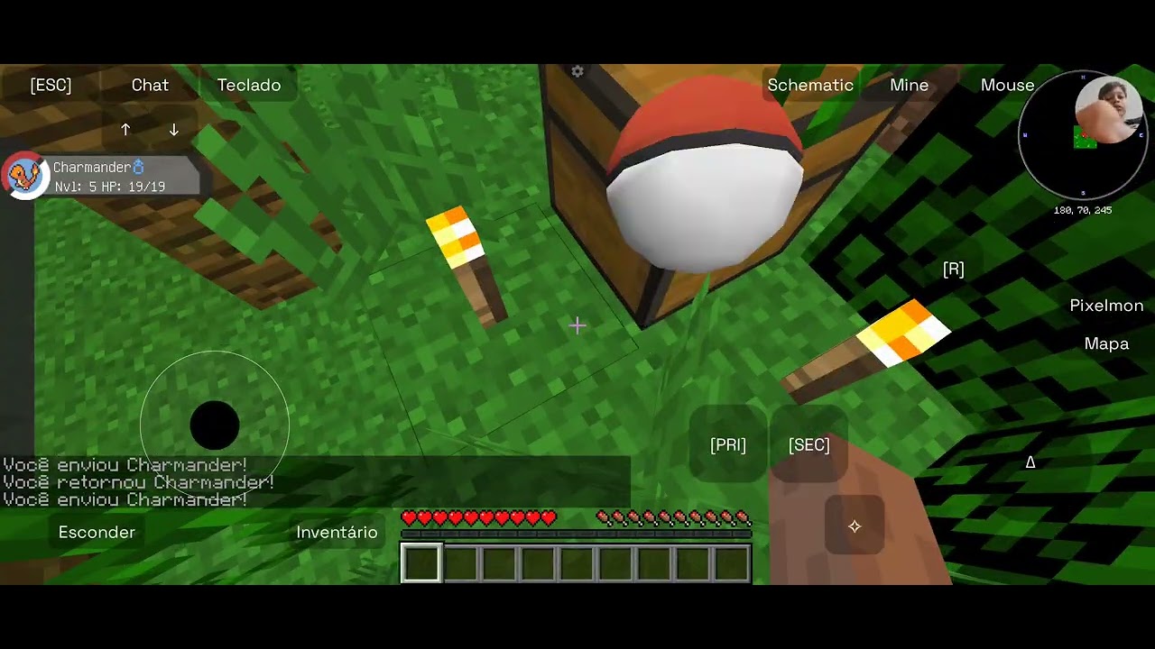 jogando Pixelmon parte 2