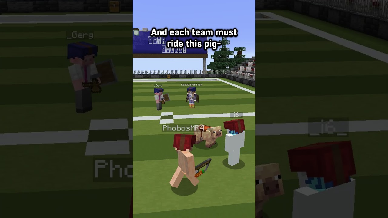 I Invented ANOTHER Minecraft Minigame | Pigskin