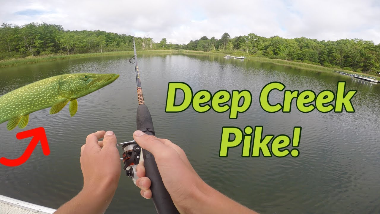 My First Ever NORTHERN PIKE!! (Deep Creek Lake)