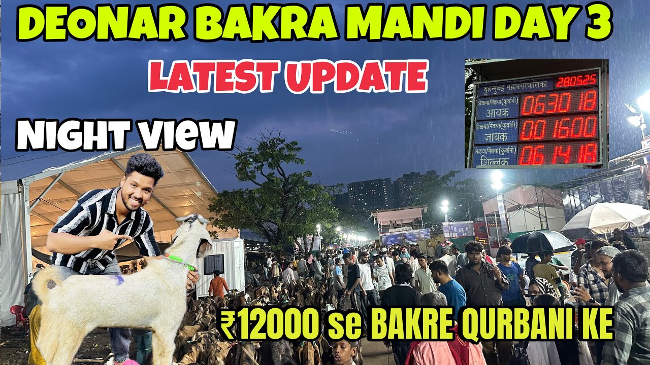 Deonar Bakra Mandi Day 3 Night View||Bakre hue saste🌧️||#deonar #deonarbakra #bakra #bakramandi