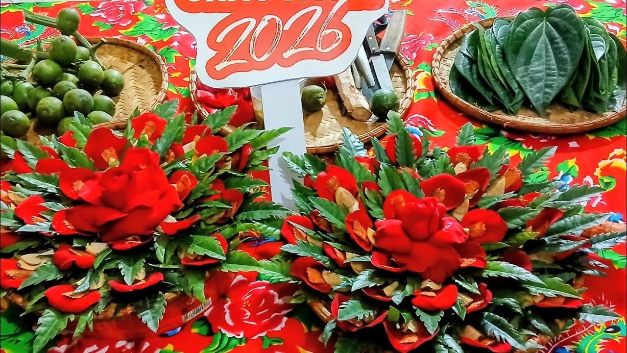 Hội Chợ Sóc Sơn - Trầu Cánh Phượng ĐV Đan Tảo 