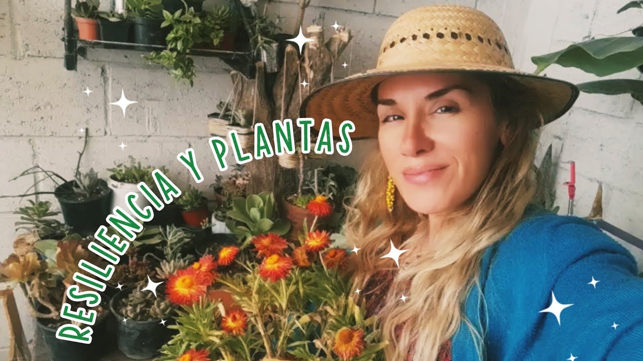 Resiliencia y plantas 👩‍🌾💚🪴🌿🌵🌻