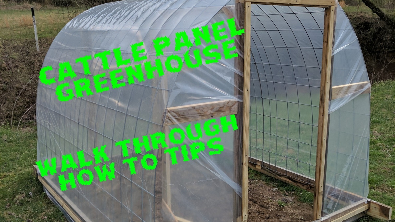 Cattle Panel Greenhouse