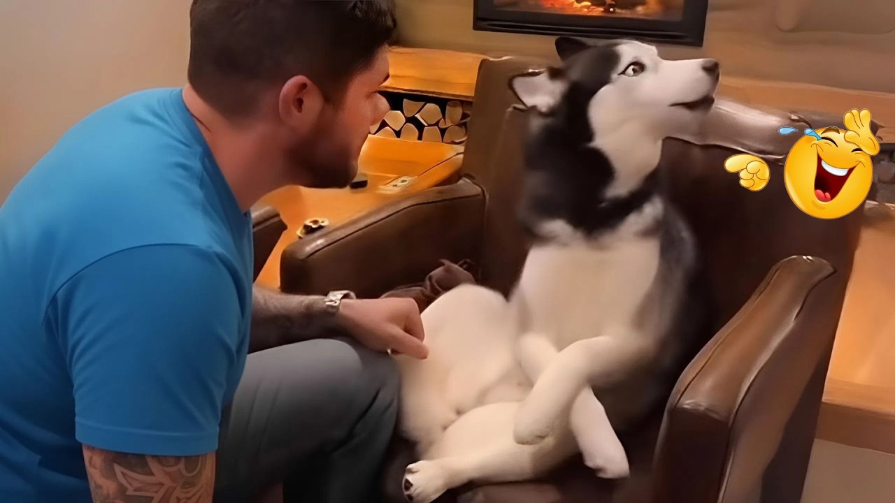 Hilarious Dog Moments That Turned Normal Days Into Chaos 🐶😂