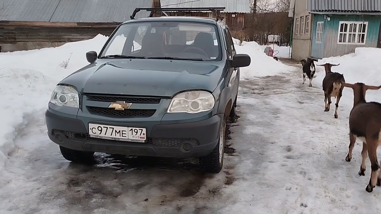 У нас уже +10 ! Совсем тепло !