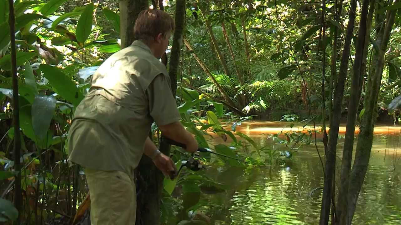 Real Adventure with Tomahawk: Amazonia  Part 2